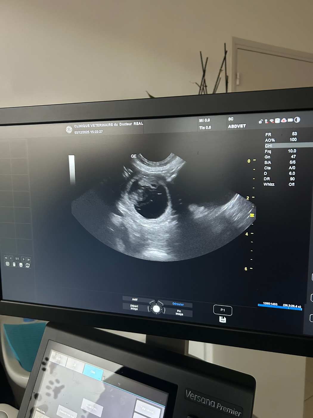 Des petits Mafieux verront le jour fin décembre 2025